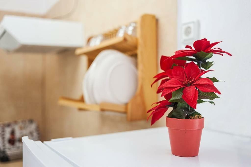 Apartamento Centro Vejer Vejer de la Frontera Extérieur photo